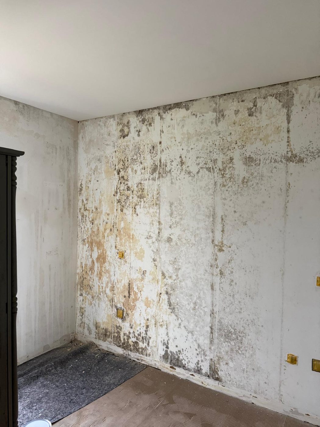 Parede de quarto com bolor e manchas de humidade antes da intervenção